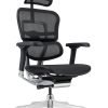 Ergonomska radna stolica ES1 Ergohuman Linea comfort