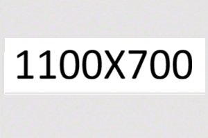 1100X700